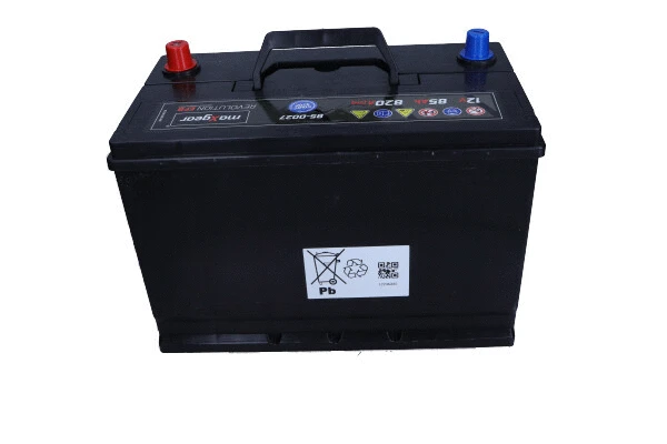 Starter Battery