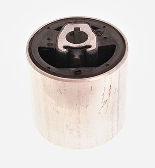 Mounting, control/trailing arm (72-1366)
