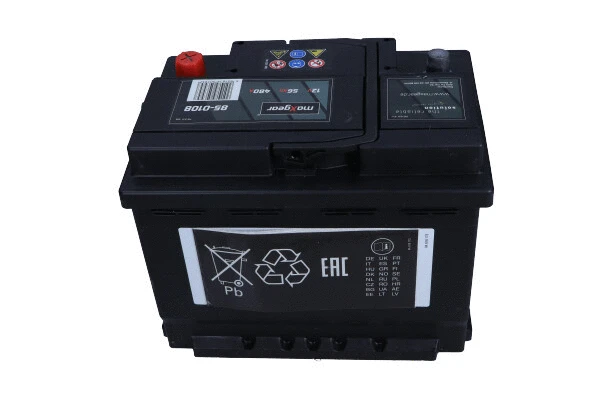 Starter Battery