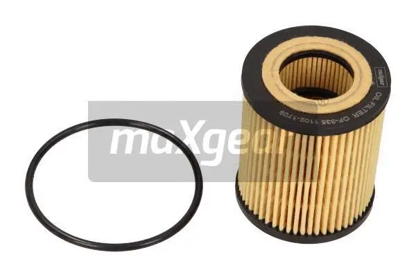 Oil Filter (26-0175)