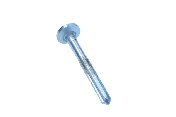 Camber Correction Screw