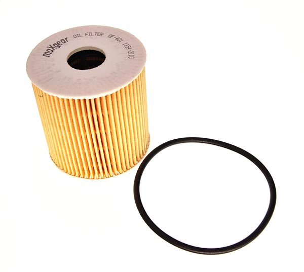 Oil Filter (26-0295)