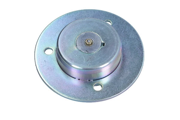 Central Magnet, camshaft adjustment