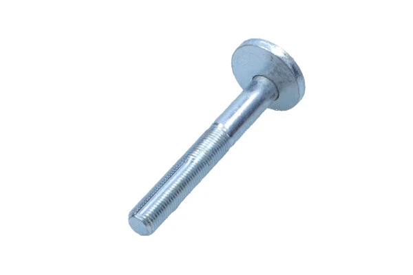 Camber Correction Screw