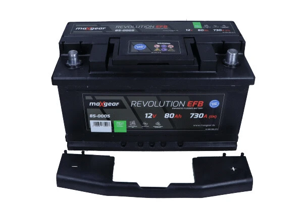 Starter Battery