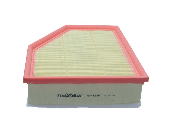 Air Filter (26-2446)