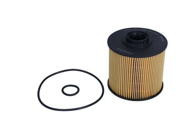Fuel Filter (26-2172)