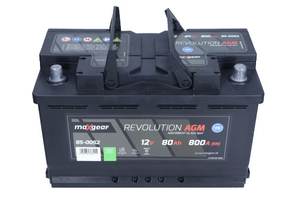 Starter Battery