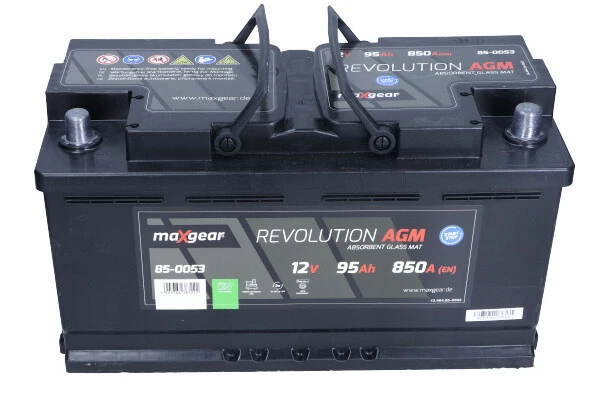 Starter Battery