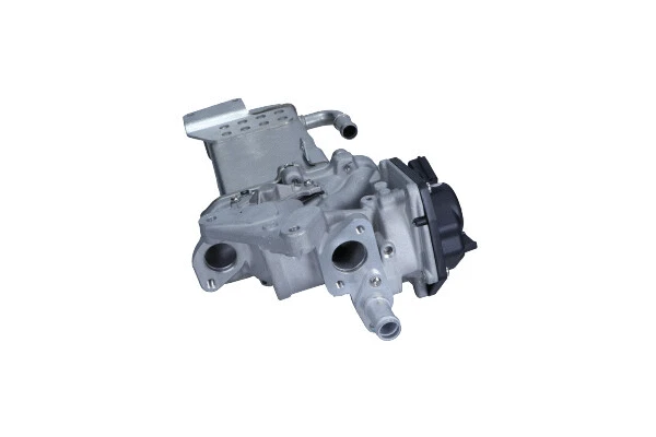 EGR Module
