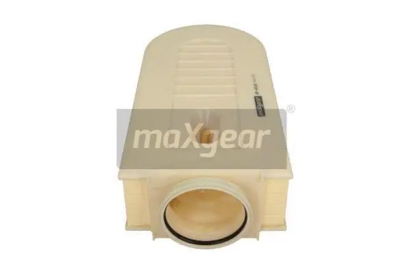 Air Filter (26-0982)