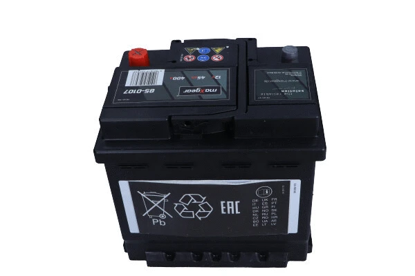 Starter Battery