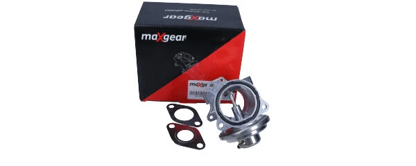 EGR Valve