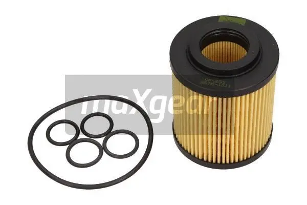 Oil Filter (26-0782)