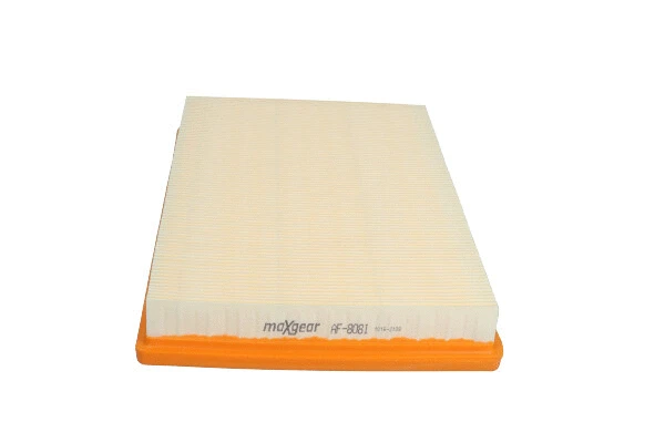 Air Filter (26-2510)