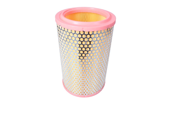 Air Filter (26-0309)