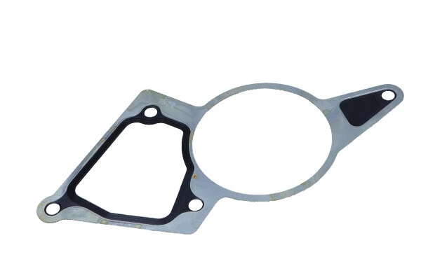 Gasket, vacuum pump (70-0148)