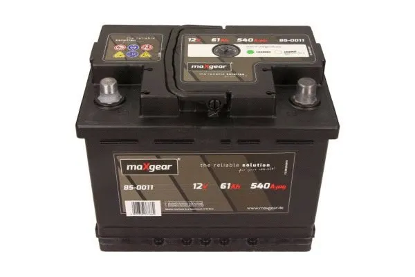 Starter Battery
