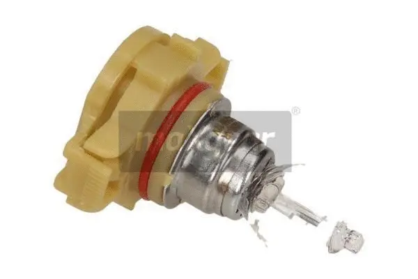 Bulb, direction indicator