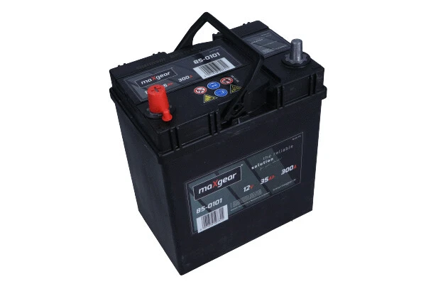 Starter Battery