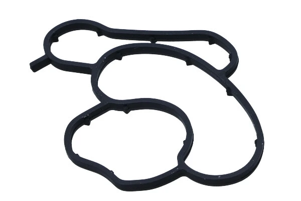 Gasket, oil filter housing