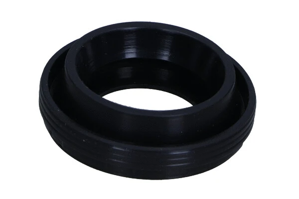 Seal, injector holder