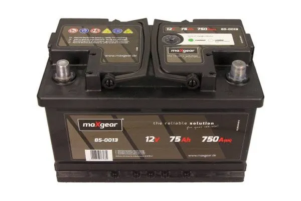Starter Battery