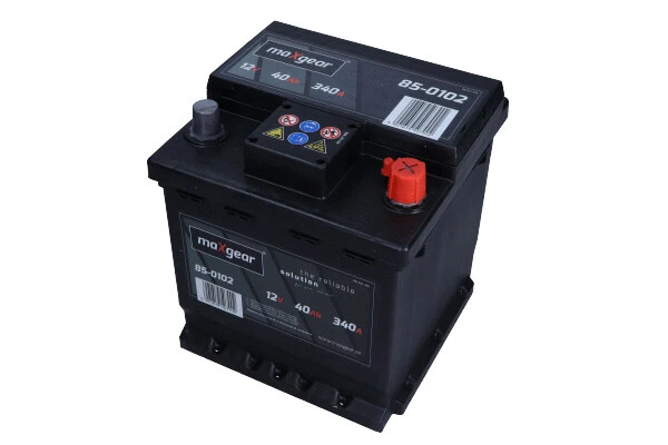 Starter Battery