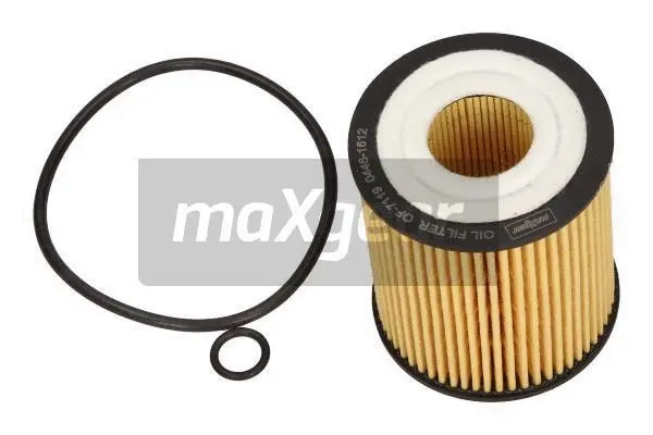Oil Filter (26-0893)