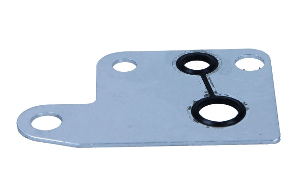 Gasket, vacuum pump (70-0158)