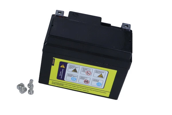 Starter Battery