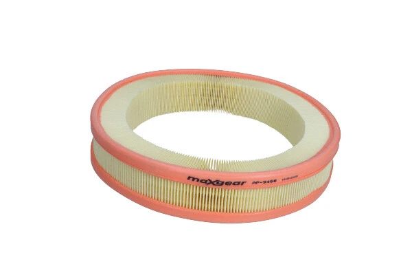 Air Filter (26-2461)