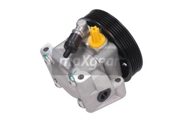 Hydraulic Pump, steering (48-0113)