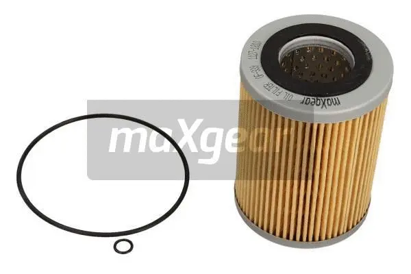 Oil Filter (26-0287)