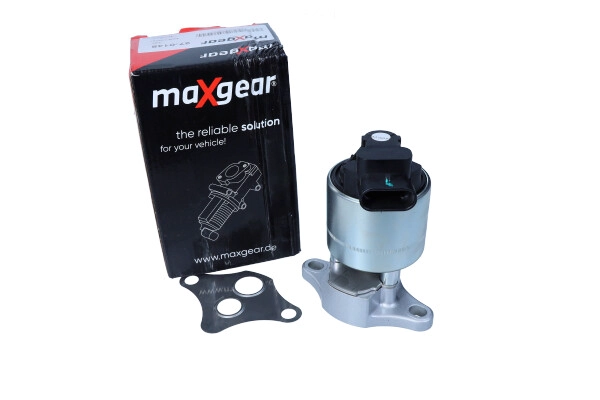 EGR Valve