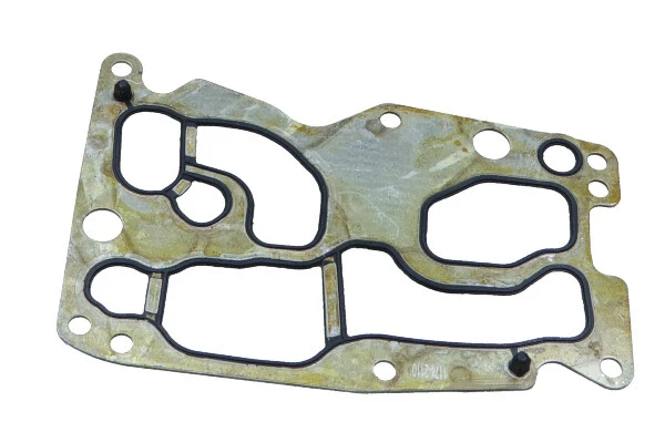Gasket, oil cooler