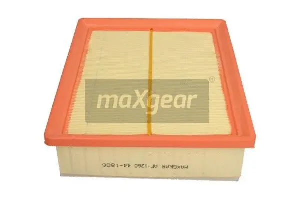 Air Filter (26-1316)