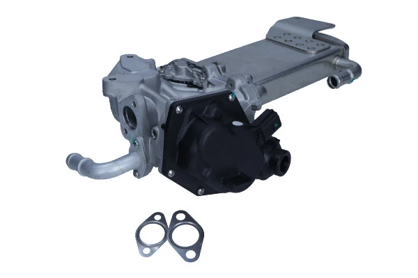 EGR Module