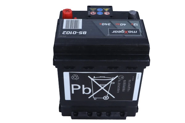 Starter Battery