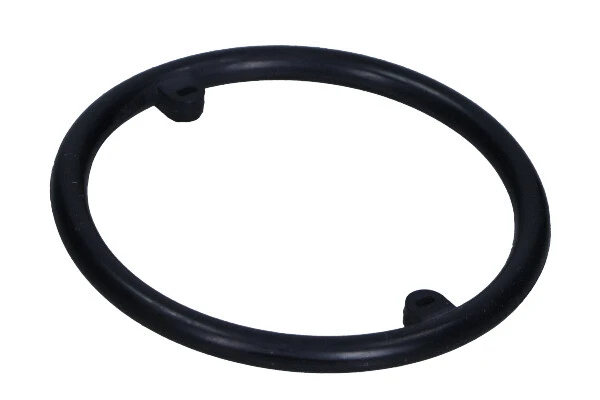 Gasket, oil cooler