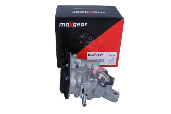 EGR Valve