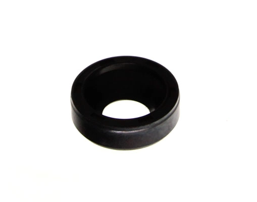 Seal Ring, injector