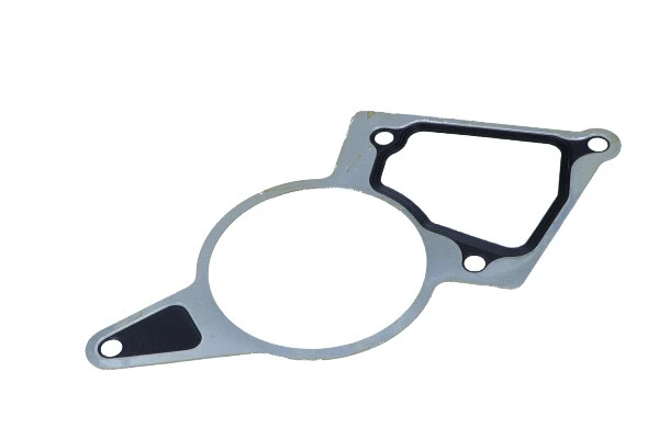 Gasket, vacuum pump