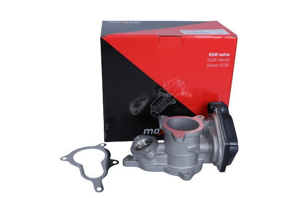 EGR Valve