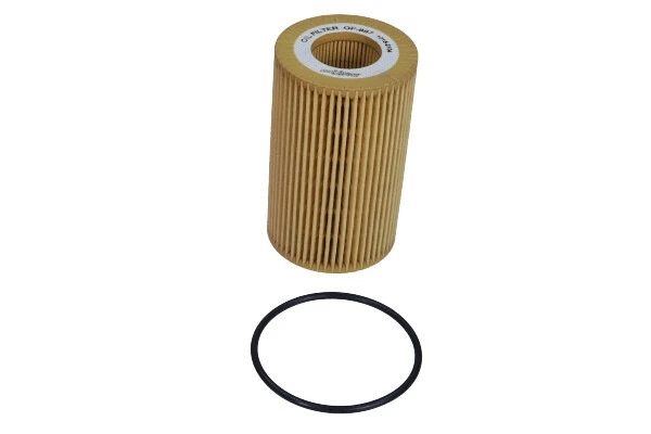 Oil Filter (26-2031)