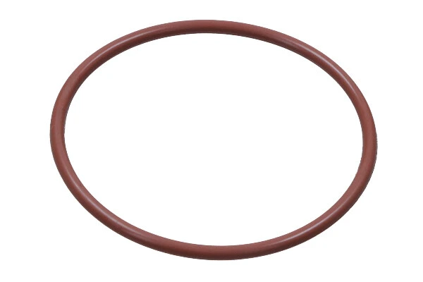 Gasket, vacuum pump