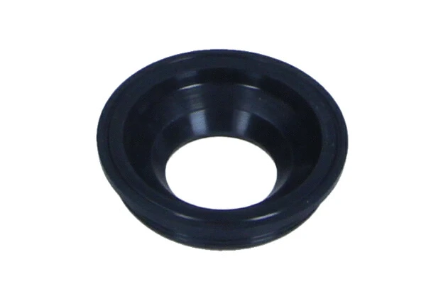 Seal, injector holder