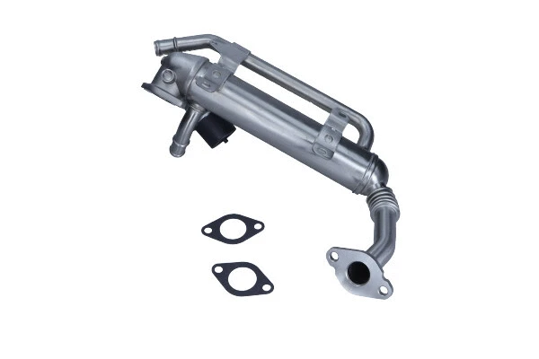 EGR Module
