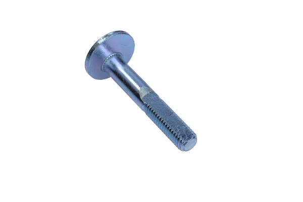 Camber Correction Screw