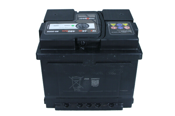 Starter Battery